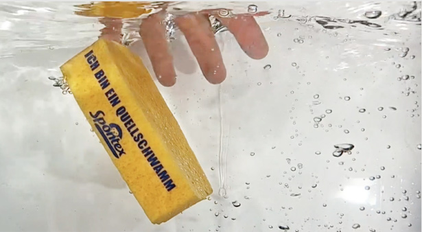 Thumbnail: Zellulose Nachhaltigkeit